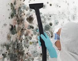 Best Emergency Mold Remediation in St Anthony, ID